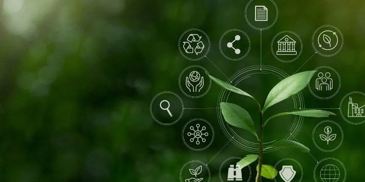 Exploration Management